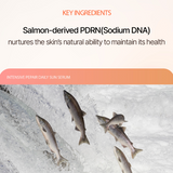 Salmon-derived PDRN ingredient in IDENEL's 🌞 INTENSIVE REPAIR DAILY SUN SERUM for skin health and hydration.