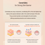 Infographic on ceramides for strong skin barrier, showing benefits like hydration & protection against dryness.