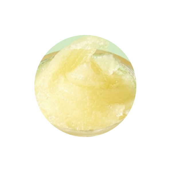 Tocobo Lemon Sugar Scrub Lip Mask