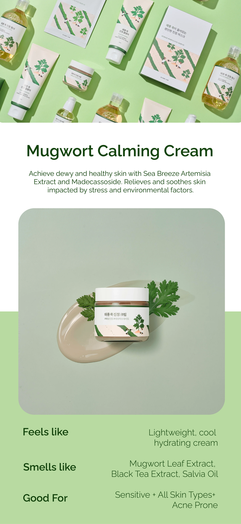 Round Lab Mugwort Calming Cream